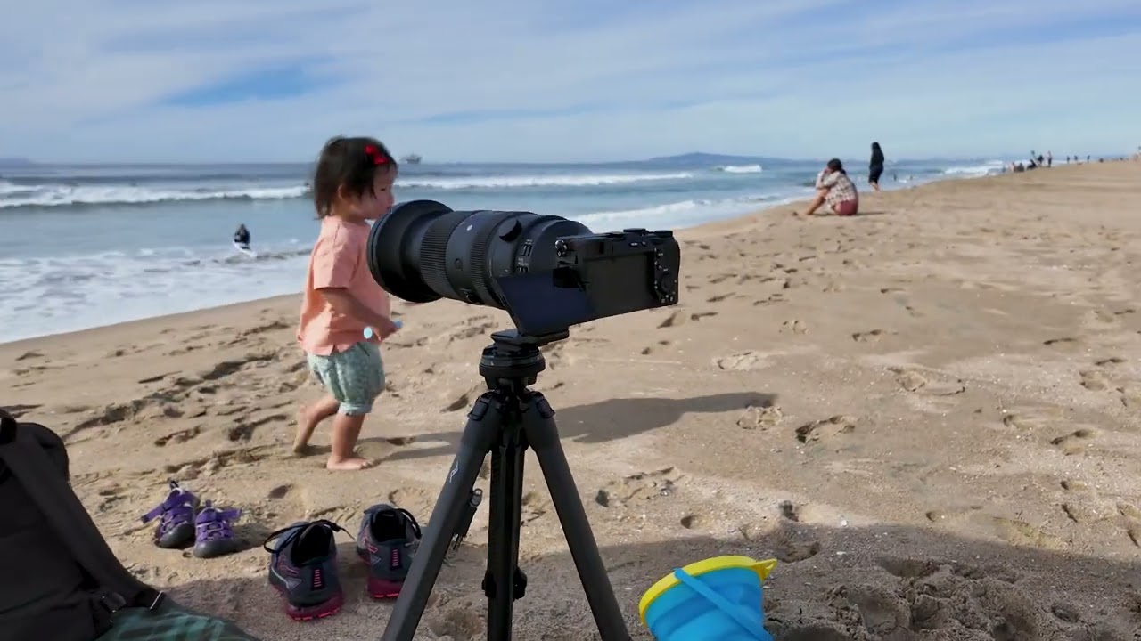The Sigma 60-600 mm Lens: A Game-Changer for Wildlife and Sports Photography