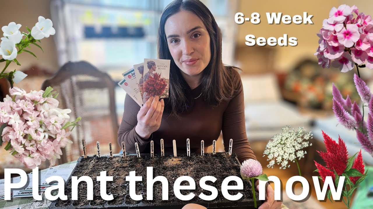 Starting Flower Seeds Indoors 6&ndash;8 Weeks Before Last Frost 🌱 | What I&rsquo;m Planting + Winter Sowing Tips