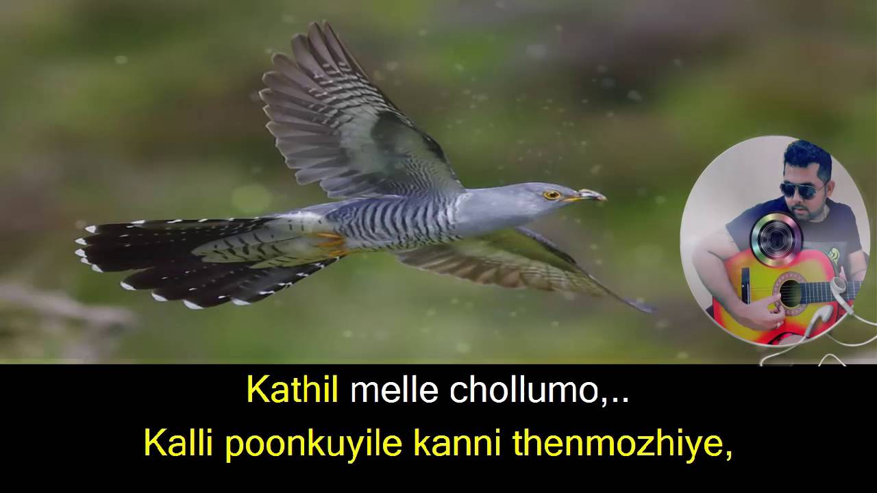 Kalli Poonkuyile Karaoke with lyrics
