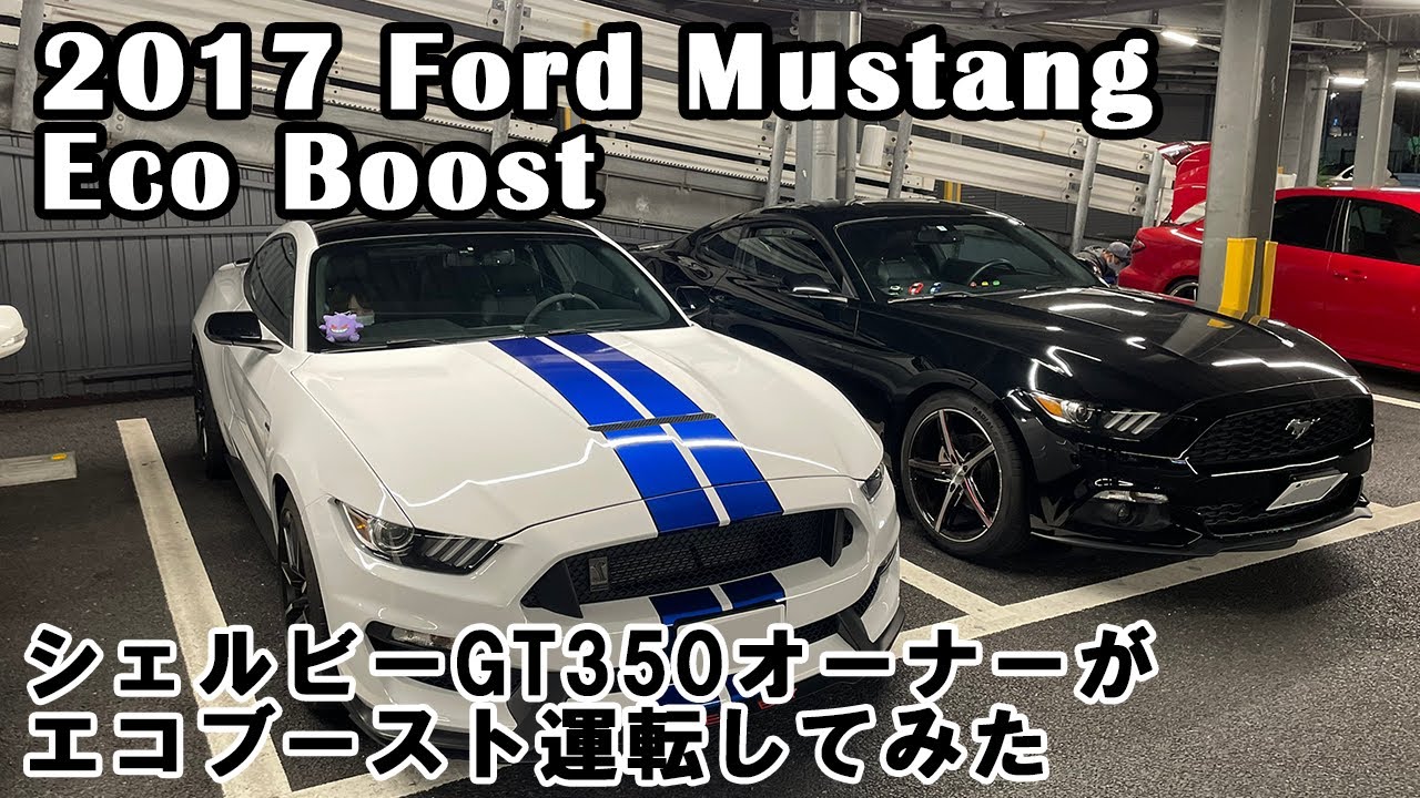 【アメ車】シェルビーGT350オーナーがマスタング エコブーストを運転した感想