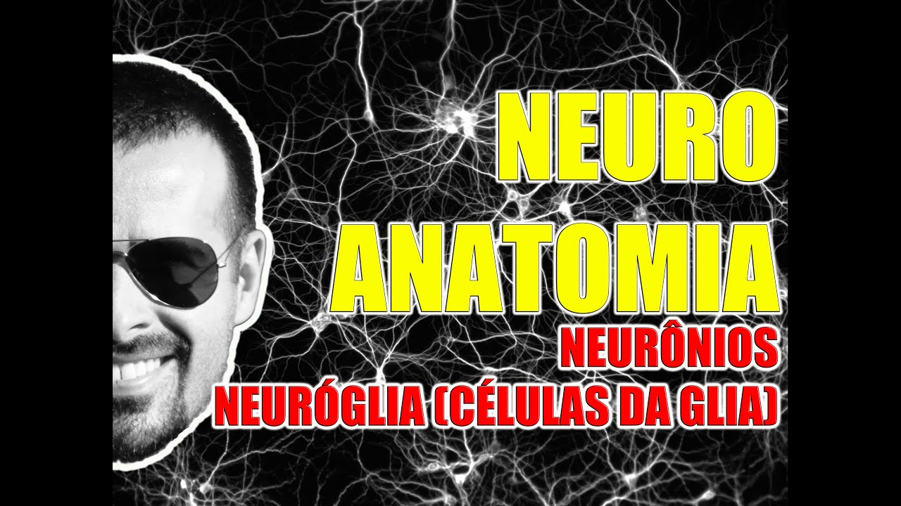 Neurônios e Células da Glia - Sistema Nervoso - Neuroanatomia - VideoAula 082