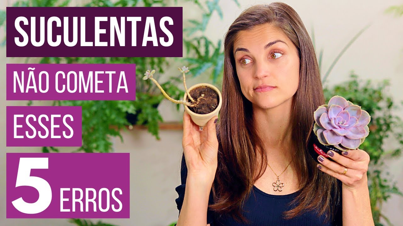 NÃO COMETA esses 5 ERROS com as suas SUCULENTAS 🌱