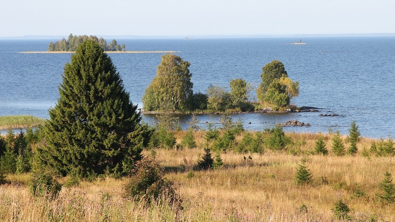 Деревни Кузаранда, Лисицино, Великая Нива, Щельга. Заонежье 🌹Республика Карелия