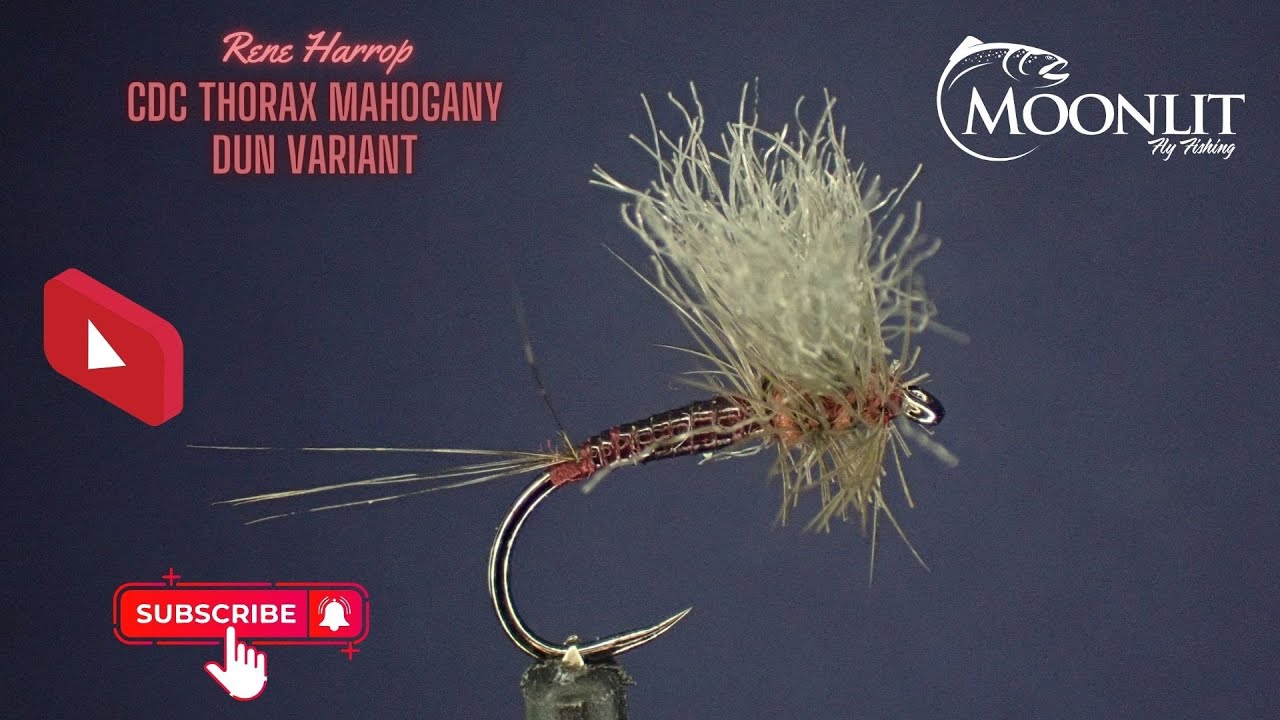 Rene Harrop CDC Thorax Mahogany Dun Variant Tutorial