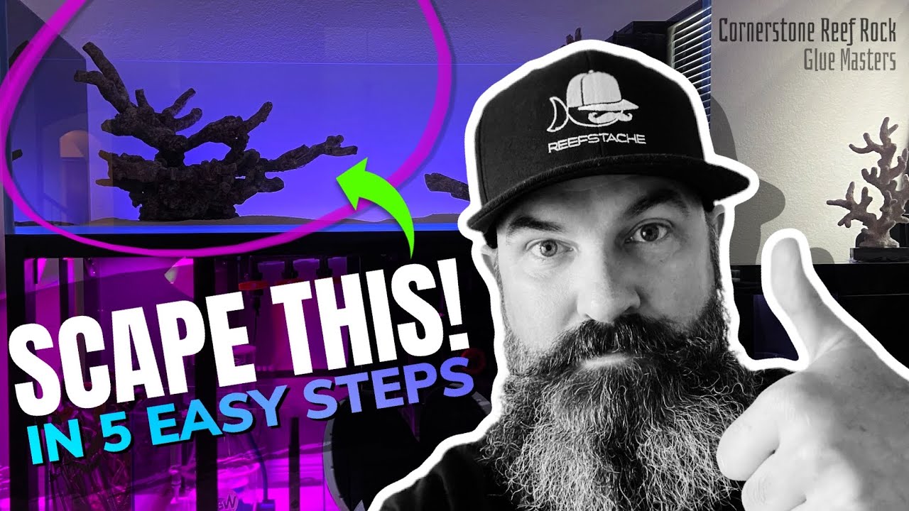 🐠 Aquascaping the reef tank -  how to glue rock like a beast!
