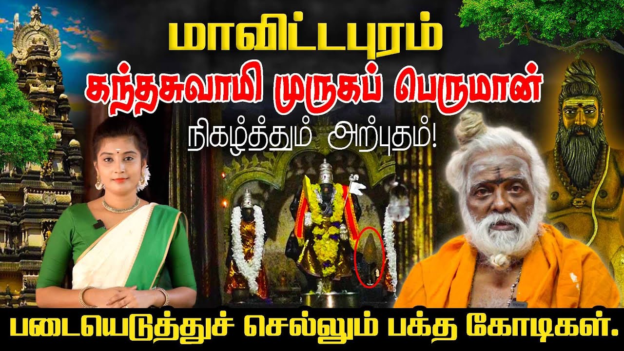 மாவிட்டபுரம் கந்தசுவாமி முருகப்பெருமான் நிகழ்த்தும் அற்புதம்! படையெடுத்துச் செல்லும்  பக்த கோடிகள்!