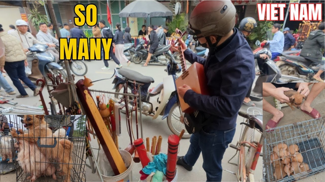 A BUSTLING AND VIBRANT TRADITIONAL MARKET WITH A WIDE VARIETY OF GOODS