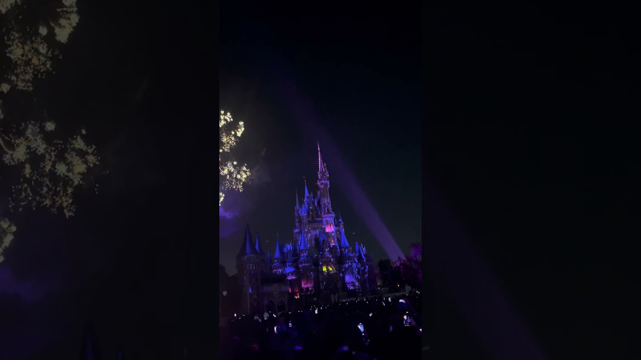 I love Disney