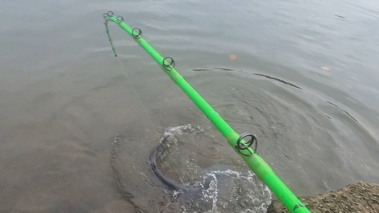 The best Ways TO catch BIG RIVER CATFISH!! (BANK FISHING)
