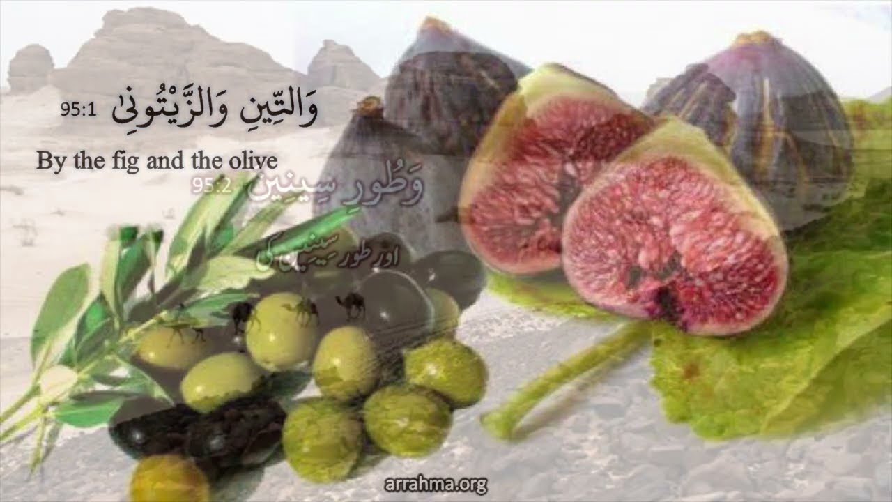 Al Misbah Course Lesson 499 Tafseer Of Surah At Teen Aya1-8 By Ustazah Najiha Hashmi