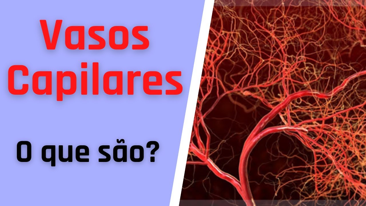 O que s&atilde;o Vasos Capilares? - Ronaldo Mendes Bombeiro - Parte 27 de 365