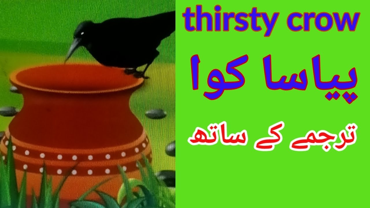 thirsty crow