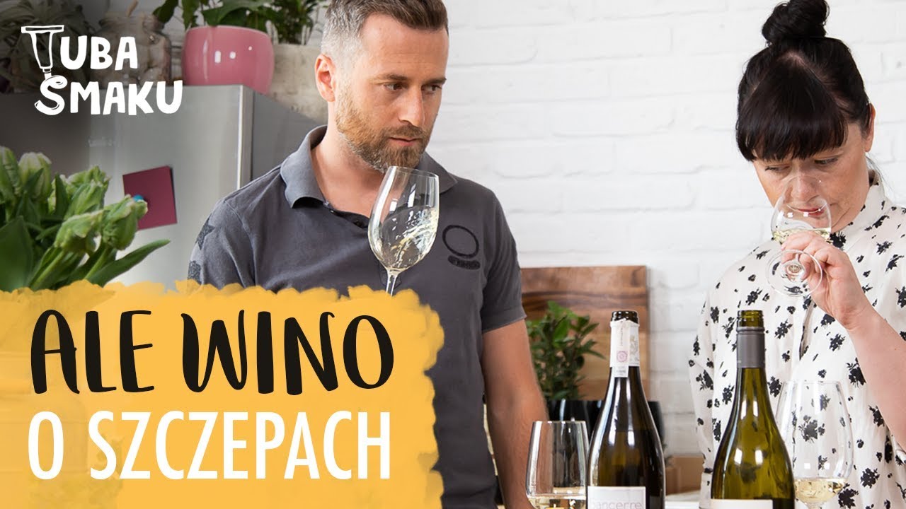 ALE WINO: Wszystko o winach SAUVIGNON BLANC | Tuba Smaku