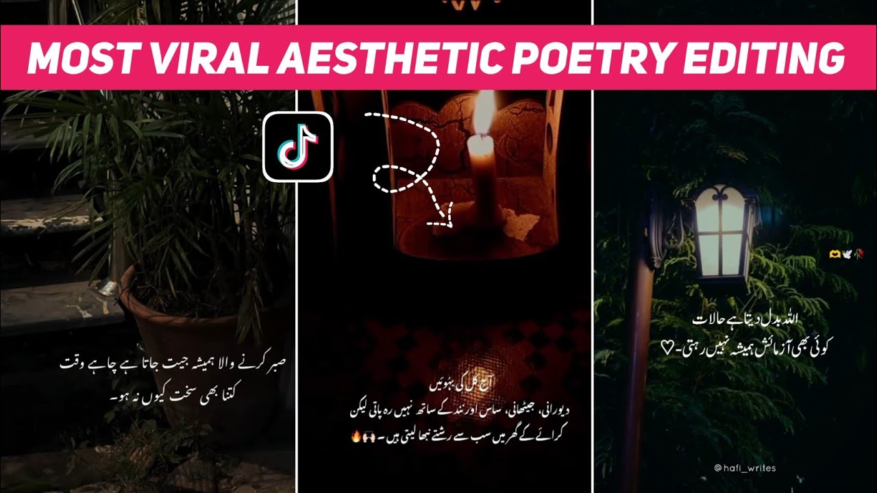 Most Viral Aesthetic Poetry Editing | TikTok Trending Poetry Editing Toturial | Inshot Video Editor