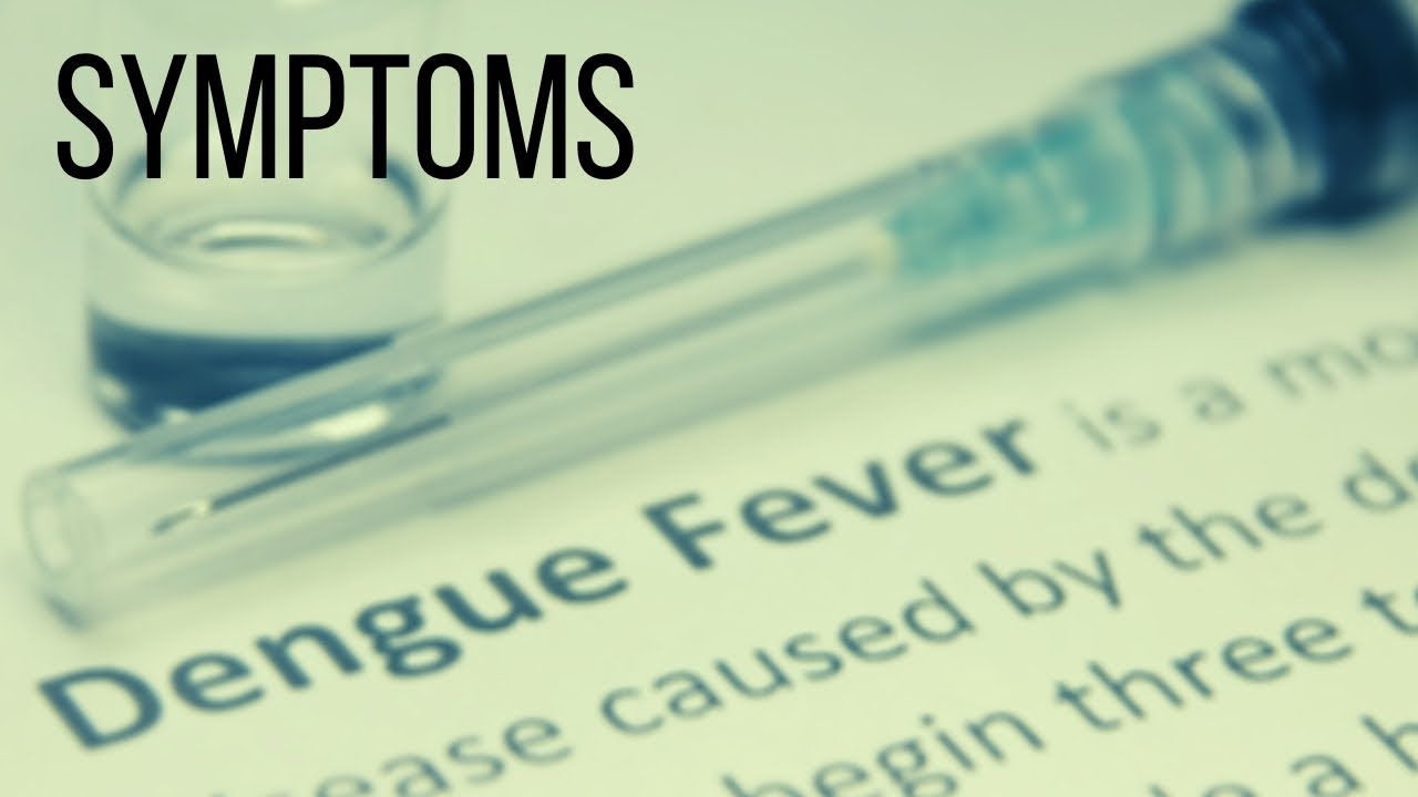 Symptoms of Dengue Fever and Severe Dengue
