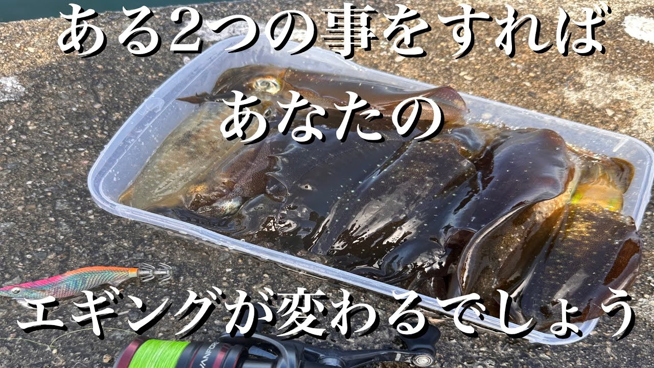 【エギング】釣果の差が生まれる大事な事をお伝えします