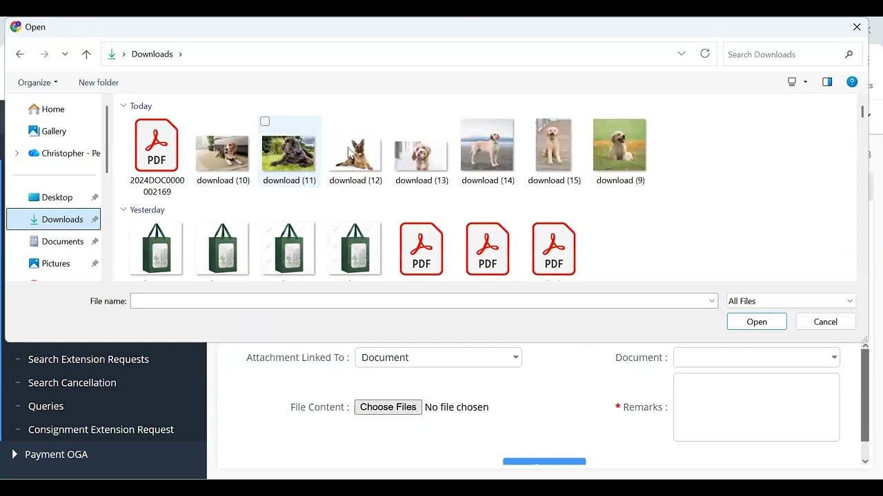 2025 Pet Import Tutorial