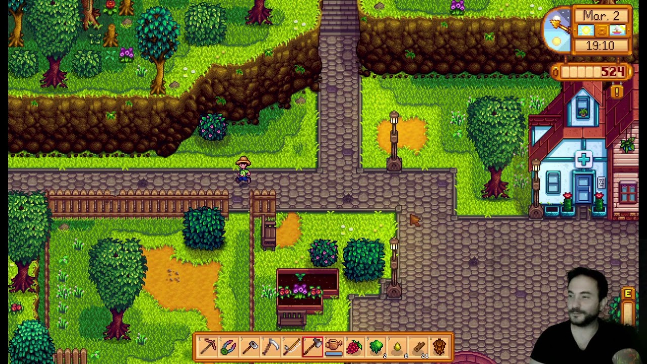 Stardew Valley de chill