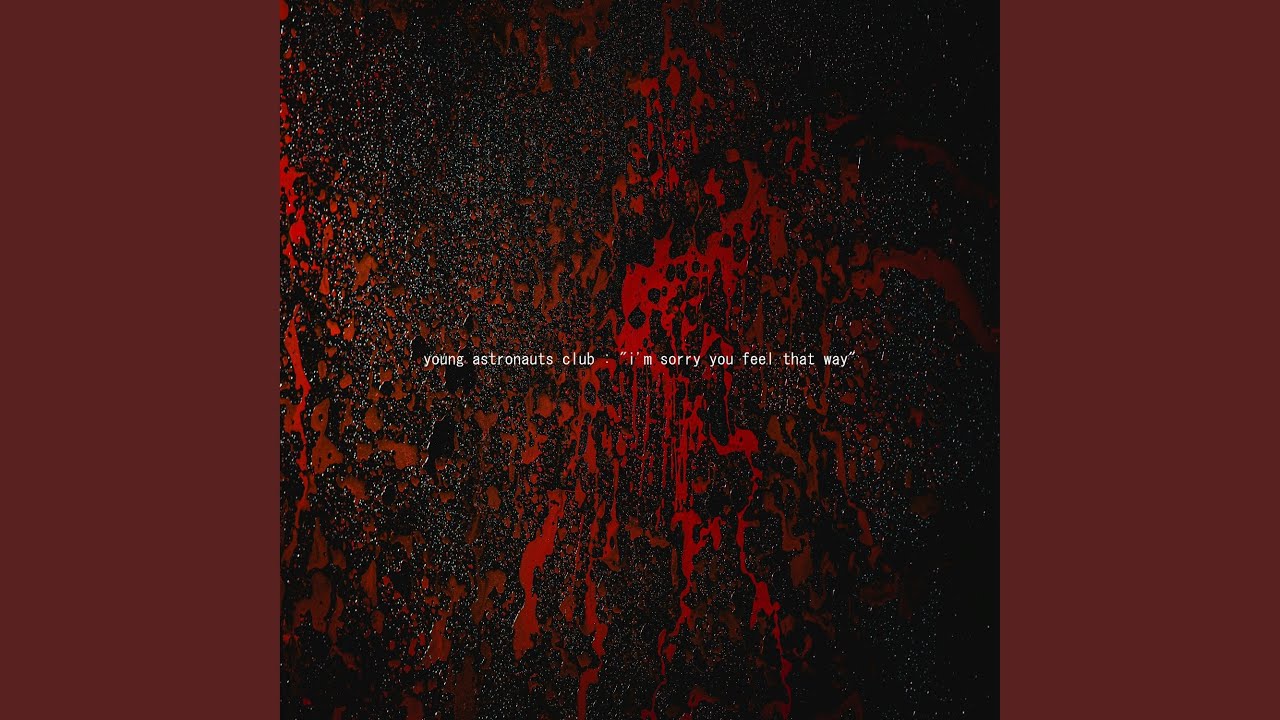 I'm Sorry You Feel That Way (Pt. I)