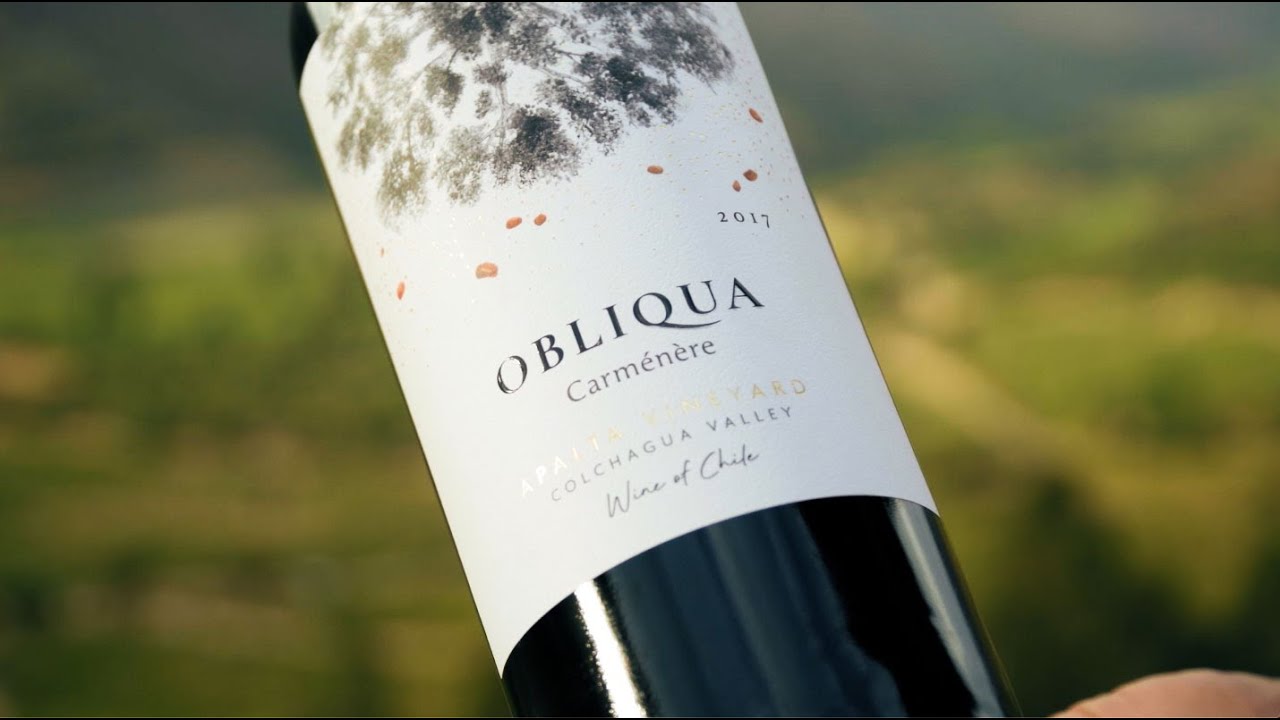 Obliqua Carm&eacute;n&egrave;re