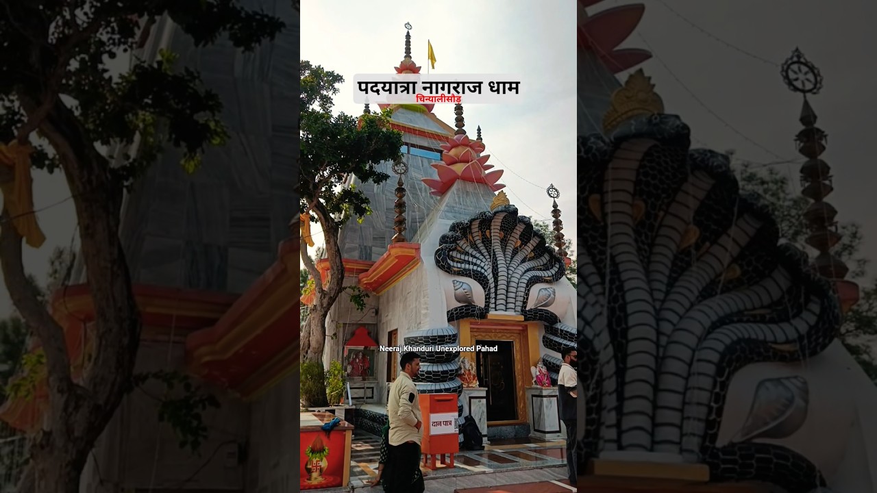 Nagraja Temple Chinyalisaur Uttarkashi | New Trending Garhwali Harul Song By Reshma Shah |