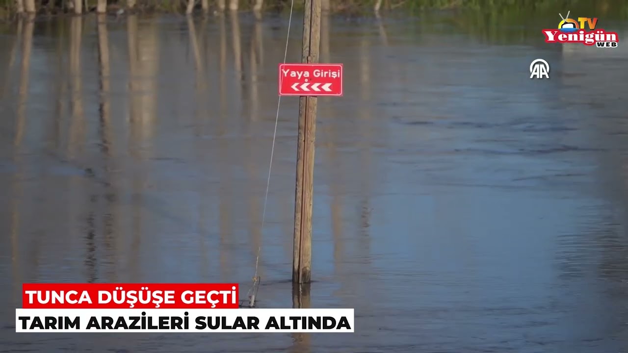 Tunca düşüşe geçti