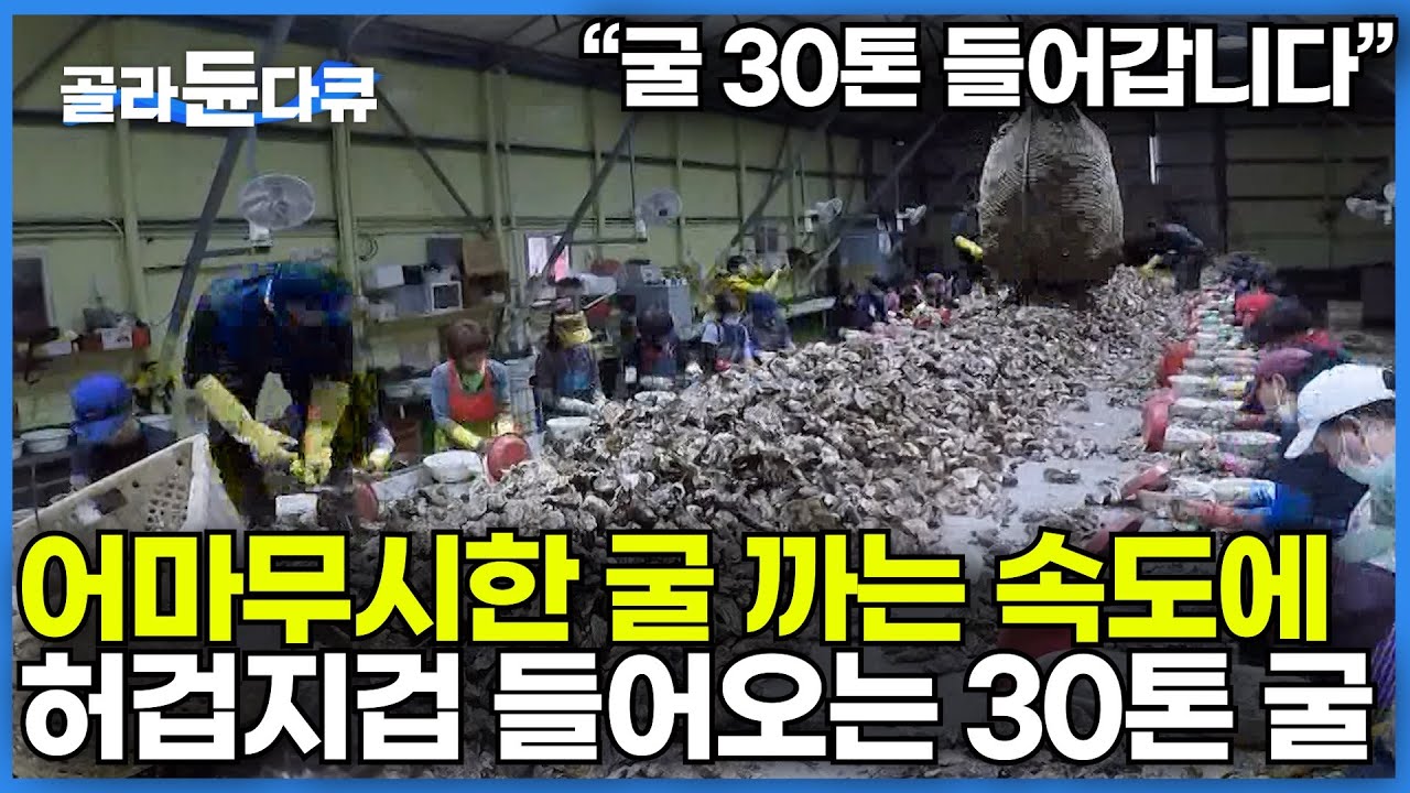 겨울철 극성수기 맞이한 굴 작업장 13시간 동안 서서 굴만 까는 작업자들의 굴 까는 속도｜굴이 이기나 사람이 이기나 매일 30톤씩 작업하는 굴 박신장ㅣ극한직업│#골라듄다큐