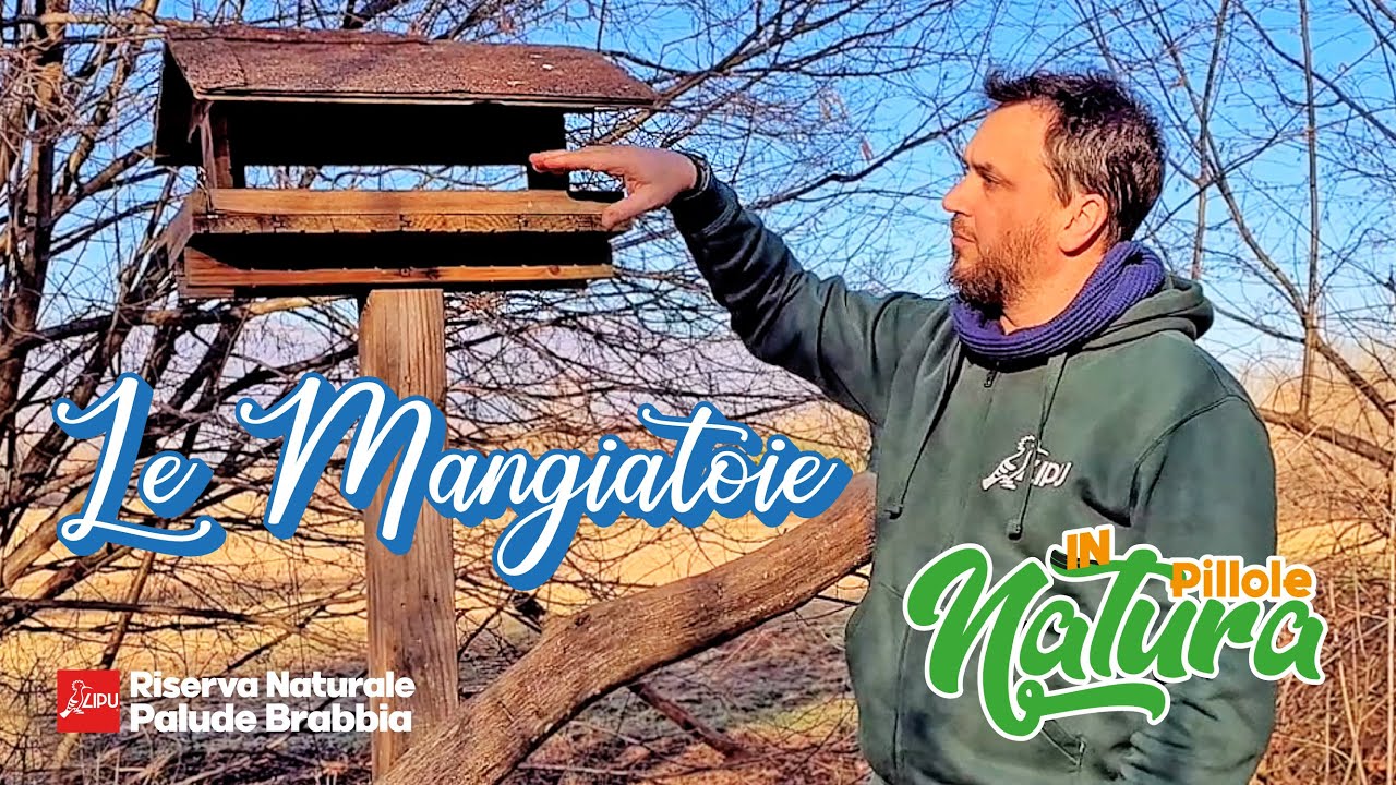 Pillole in Natura - Ep10: Le mangiatoie