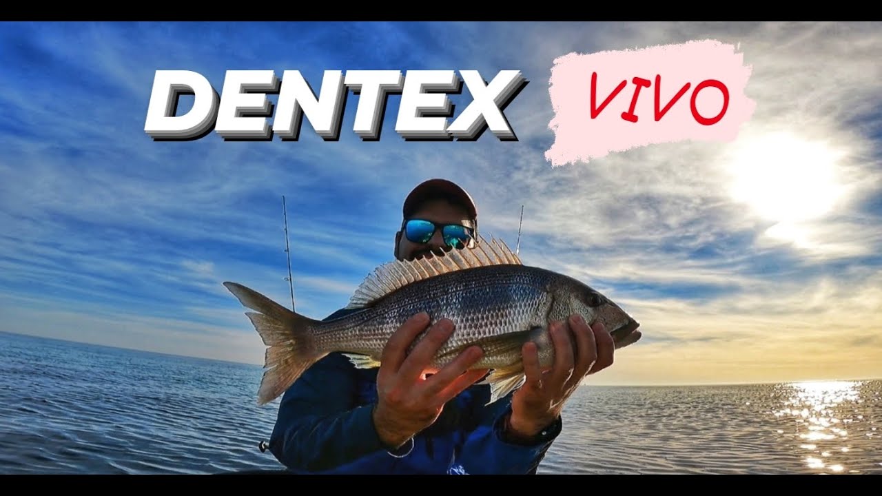 🔥 DENT&Oacute;N al VIVO 🔥 - PESCA en KAYAK en ❄ INVIERNO ❄ - Vlog 49