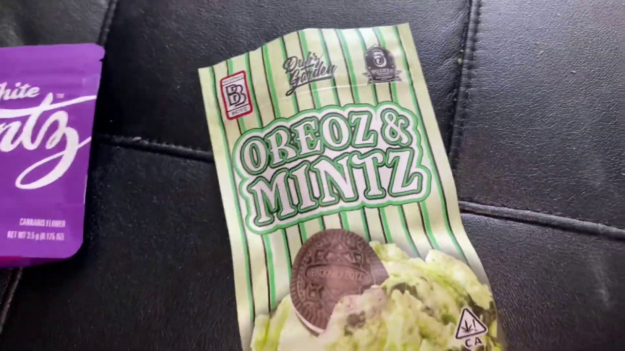 BACKPACK BOYZ 🚨🎒 OREOZ and MINTZ 🤯 STRAIN REVIEW &bull; 5 POINTS LA
