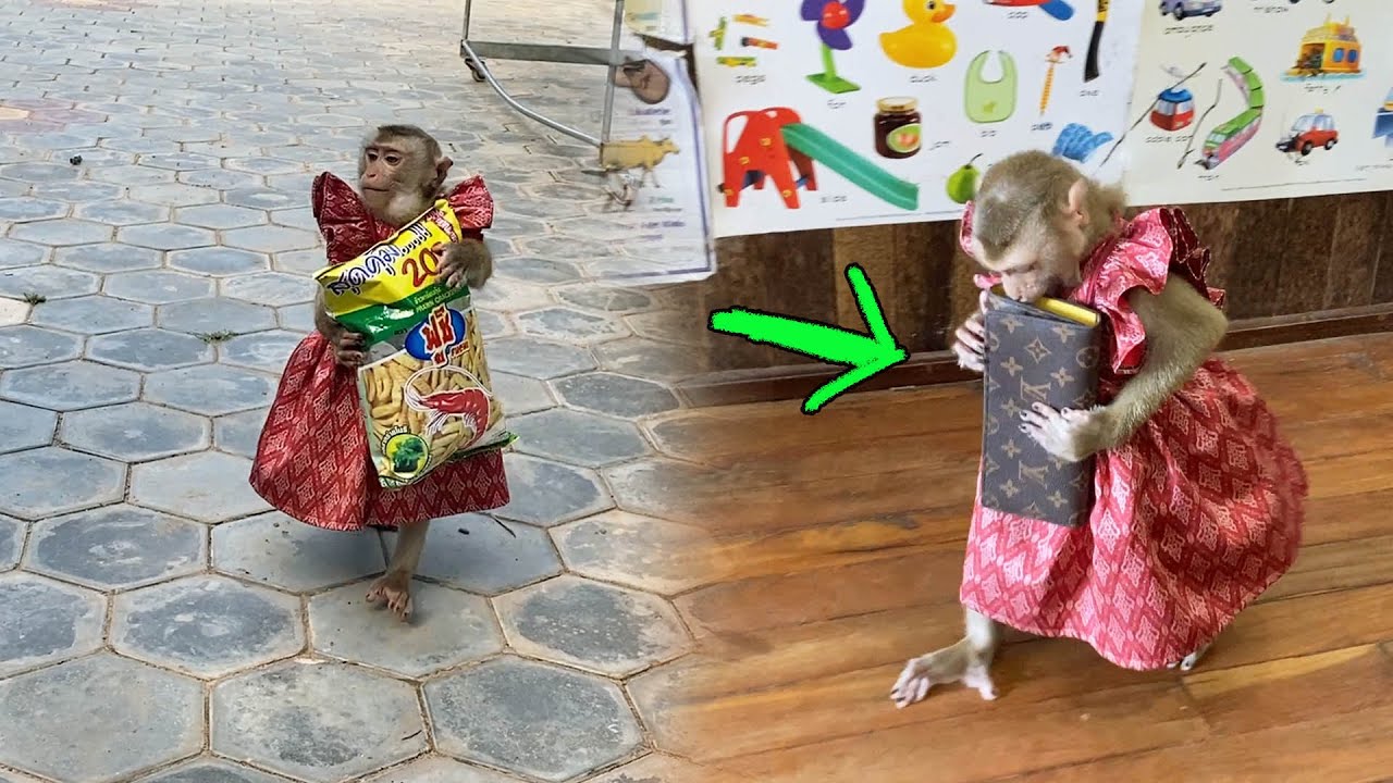 Most Talkative Judee HoldingPurse Run Fast To Buy Her Snack