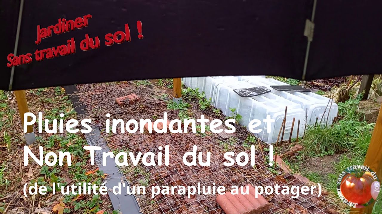 Pluies inondantes et Non Travail du sol (De l'utilité du parapluie au potager)