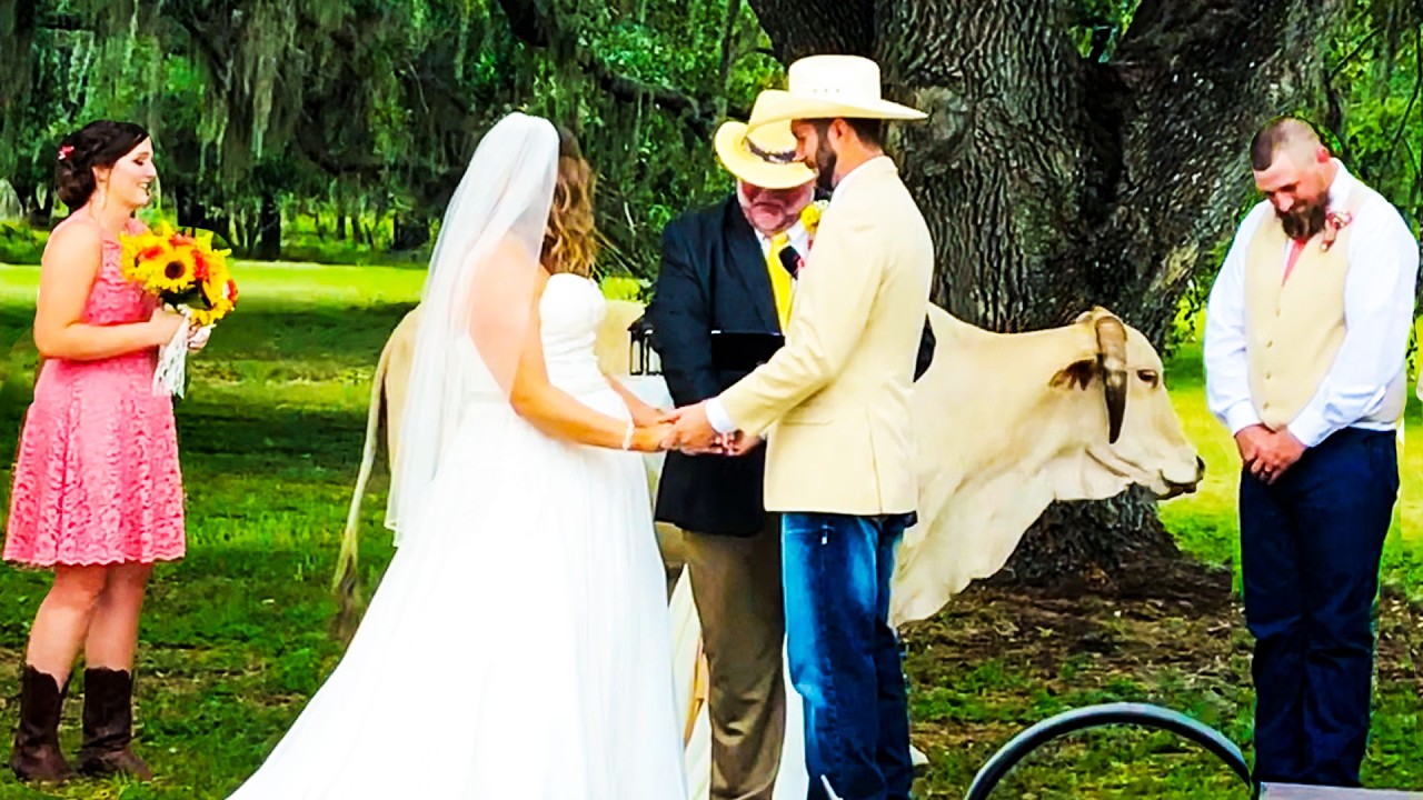 This is Why I'm Eloping! | Wedding Day Disasters