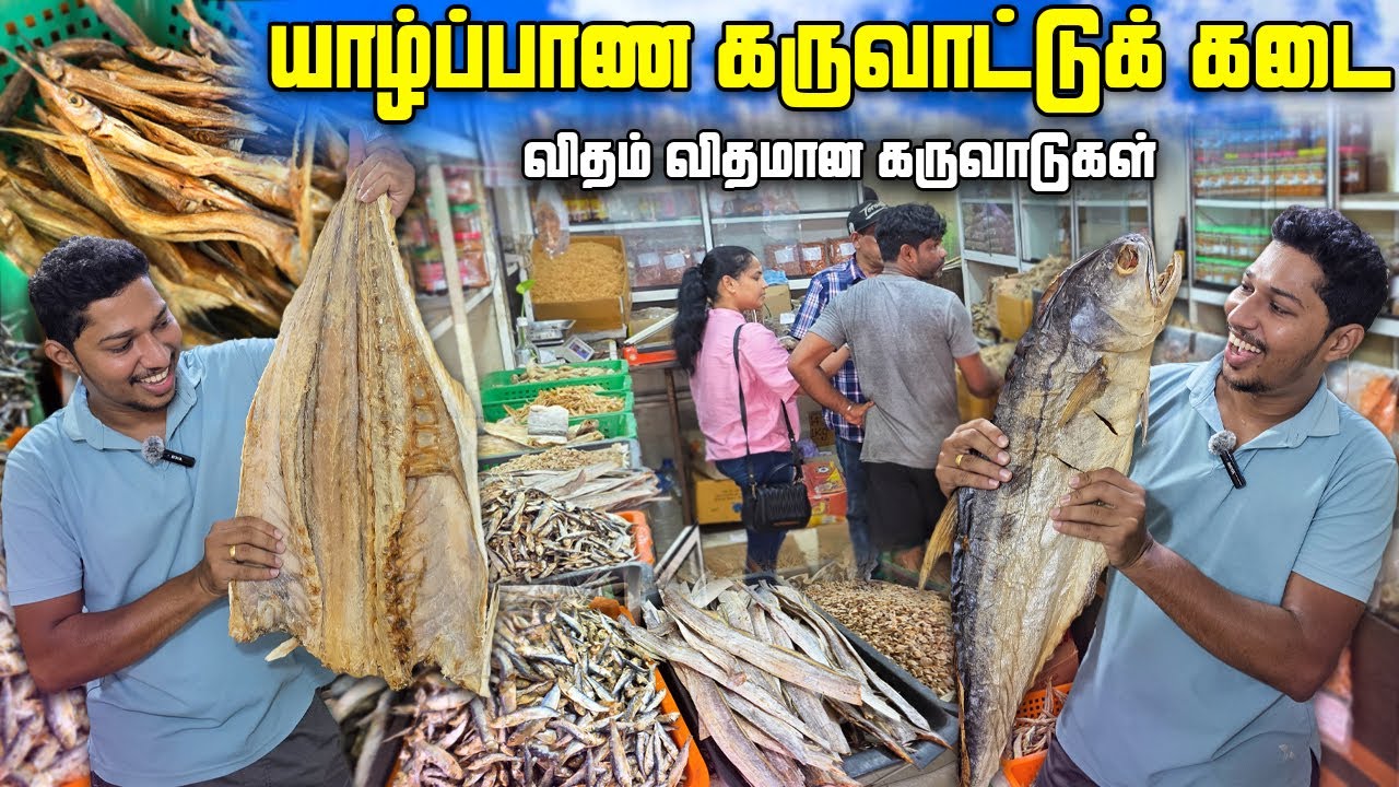 யாழில் ஒரே இடத்தில் விதம் விதமான கருவாடுகள்🐟| Jaffna Dry Fish Shop🦈 | Jaffna | Sri Lanka