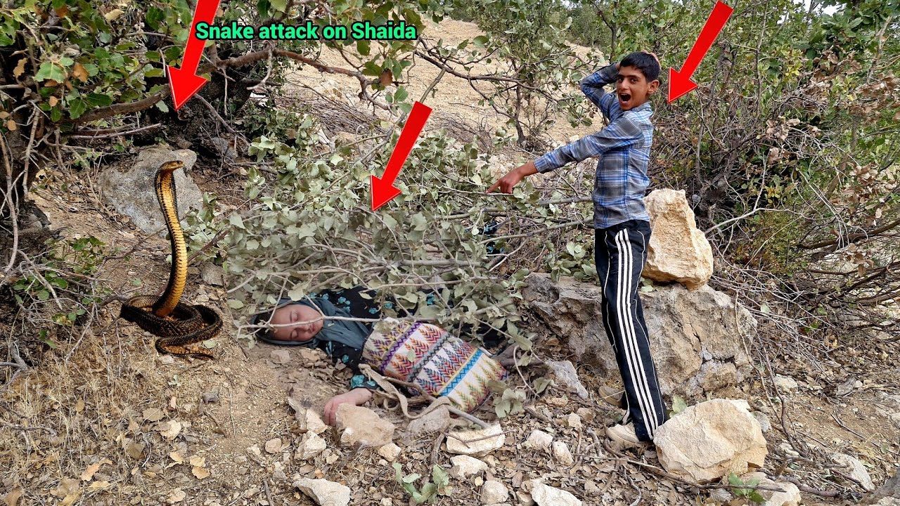 The shepherd asked the two men; What had happened to the runaway girl?