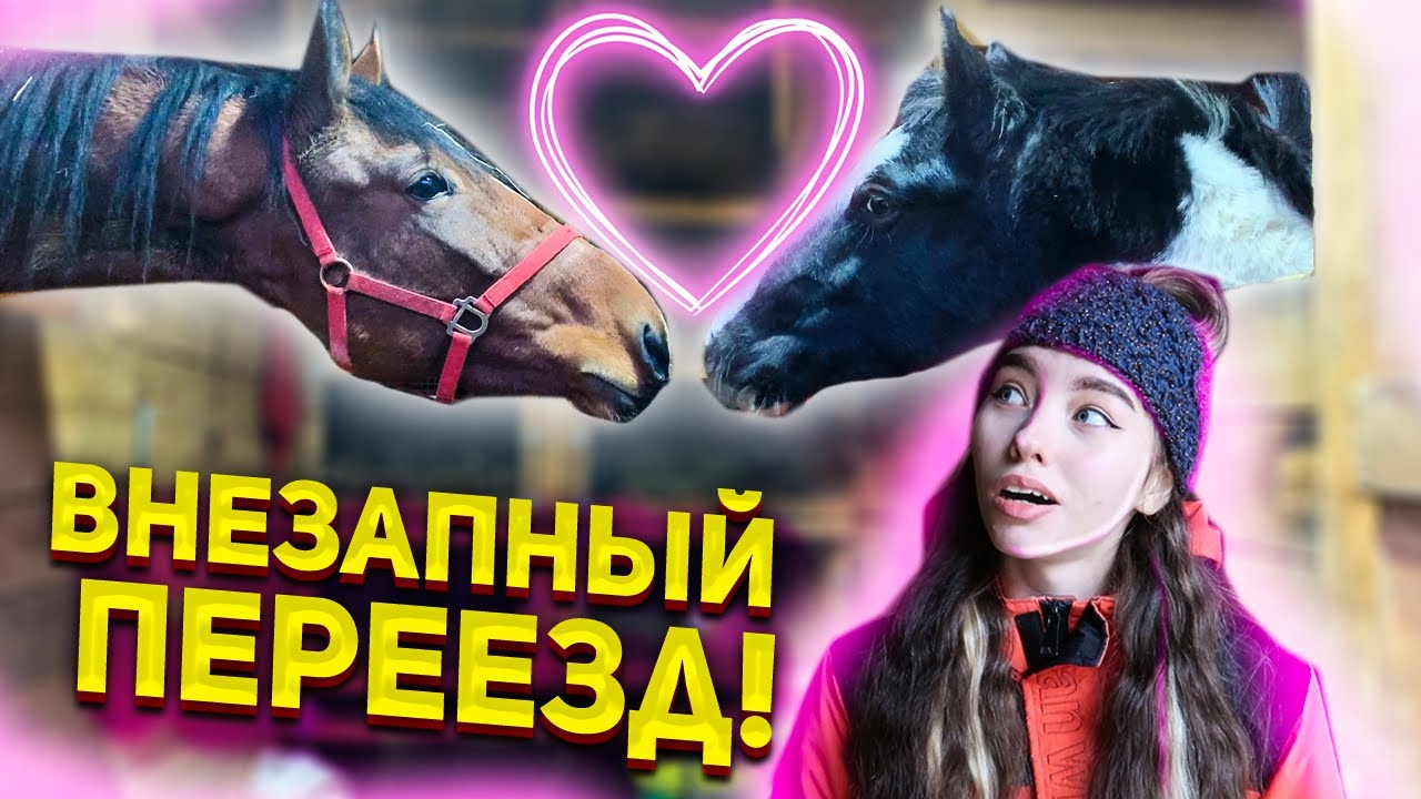 СНОВА ПЕРЕЕЗД на НОВУЮ КОНЮШНЮ! Не прошло и 3 месяца... VLOG