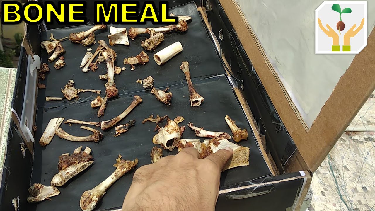What is Bone Meal? Benefits Making Application