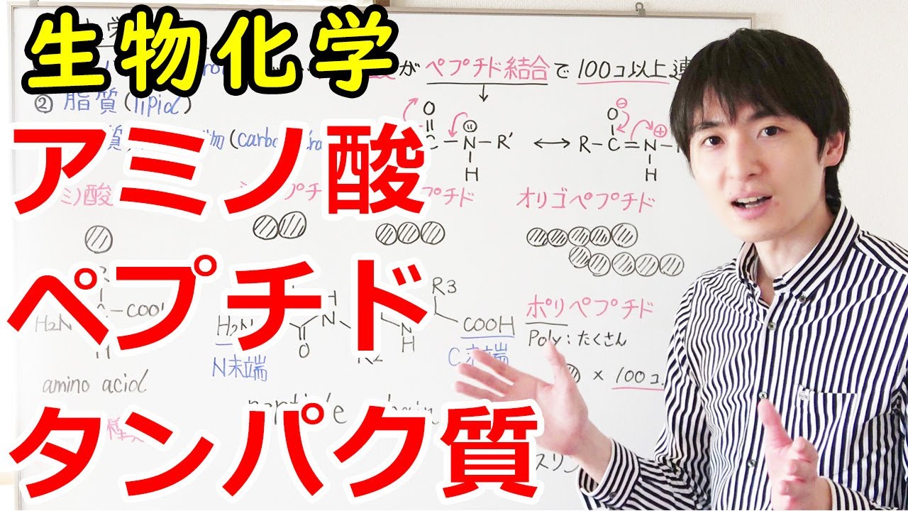 【大学の生化学】アミノ酸・ペプチド・タンパク質の構造と分類【生物系科目の基礎】