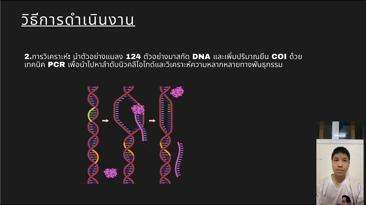 25 กุมภาพันธ์ 2569