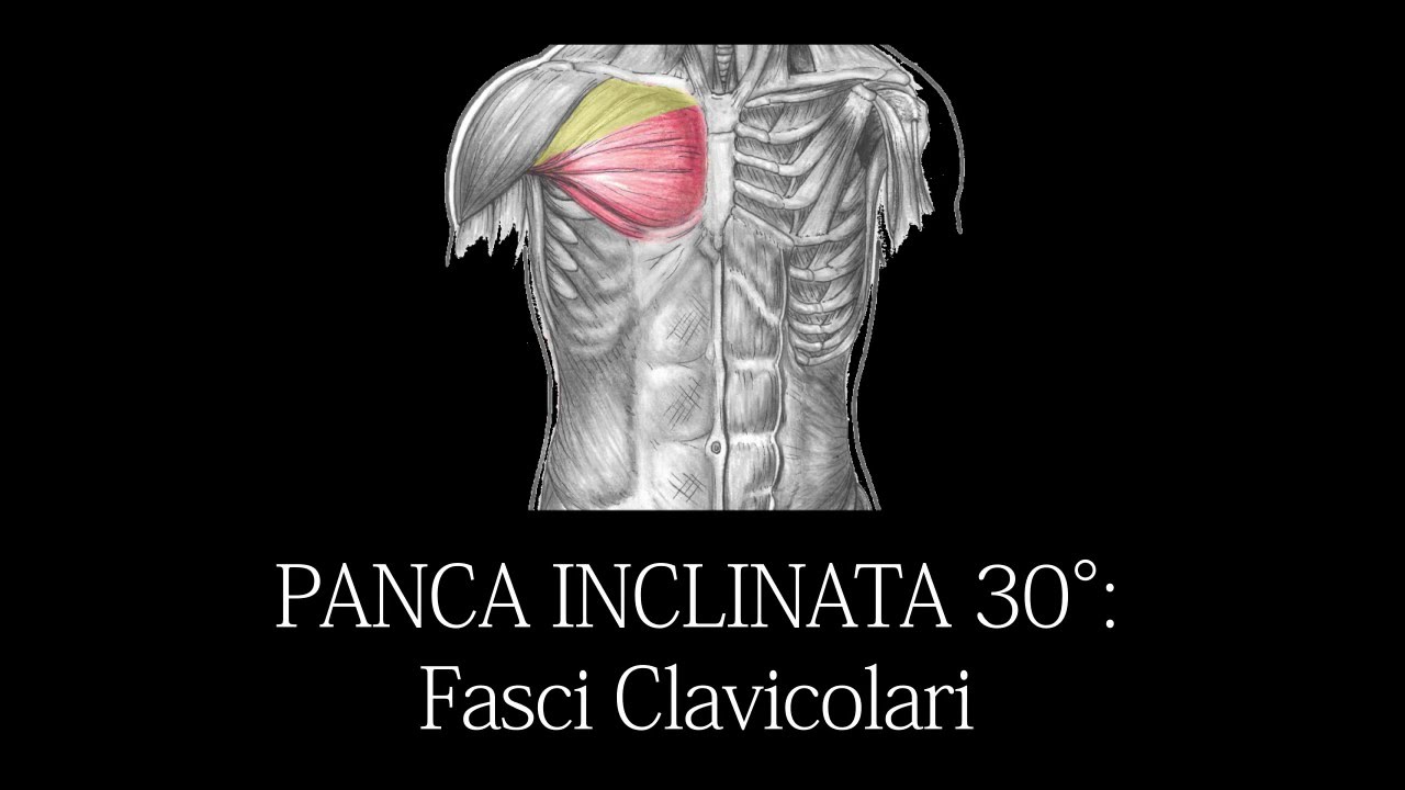 Distensioni con bilanciere su panca