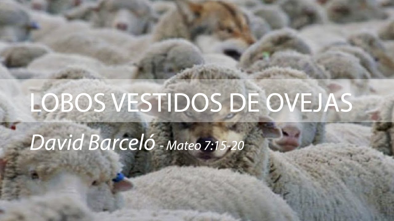 28. Lobos vestidos de ovejas - David Barceló