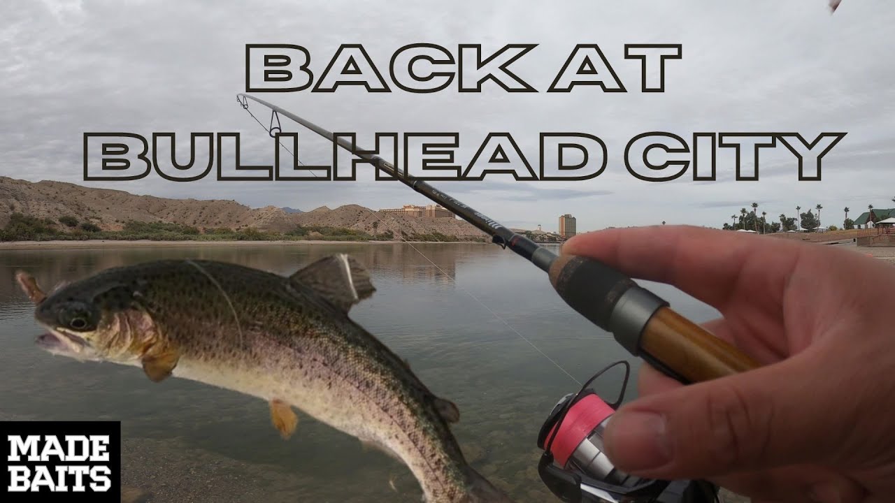 Caught A Bunch!!Trout Fishing AT Community Park Bull Head City