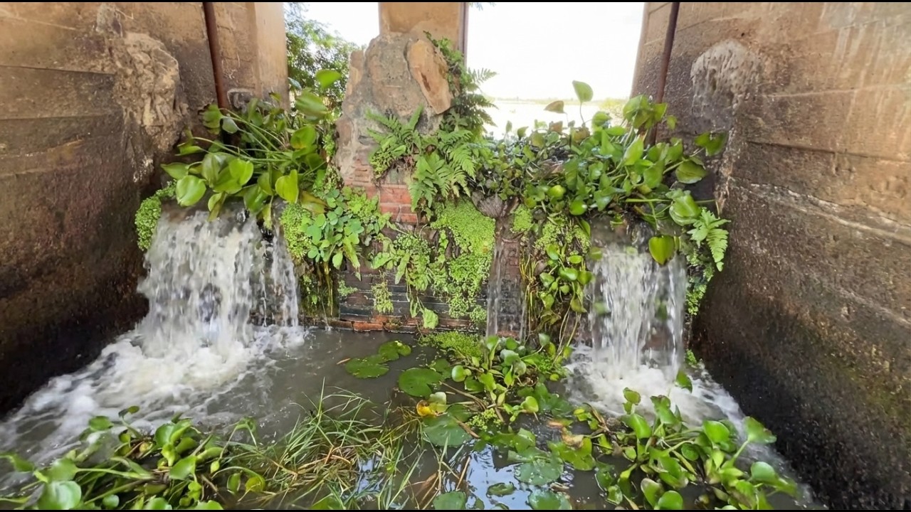 Satisfying Waterway Cleanup – Removing Plants Blocking the Flow!