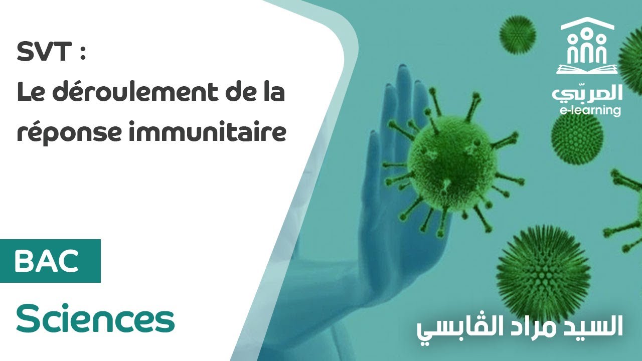 Bac Sciences : SVT - Le Déroulement de la Réponse Immunitaire | Explication Complète