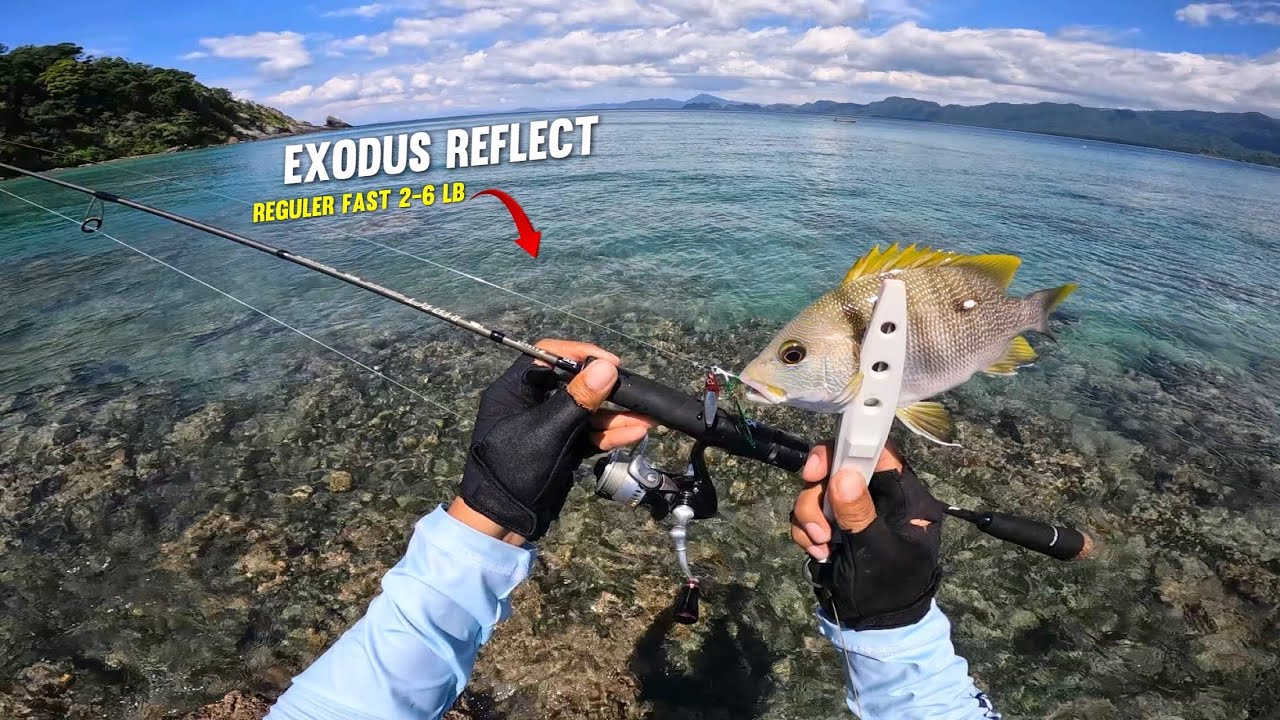 TERLALU GACOR !! Casting Ngoyor pakai Jig 7 Gram Spot Karang Dangkal 
