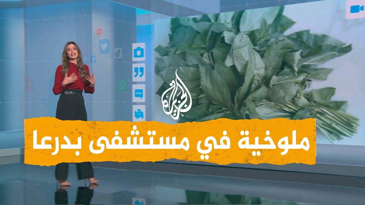 شبكات | تجفيف الملوخية في حضانة أطفال في مستشفى بدرعا.. فما القصة؟