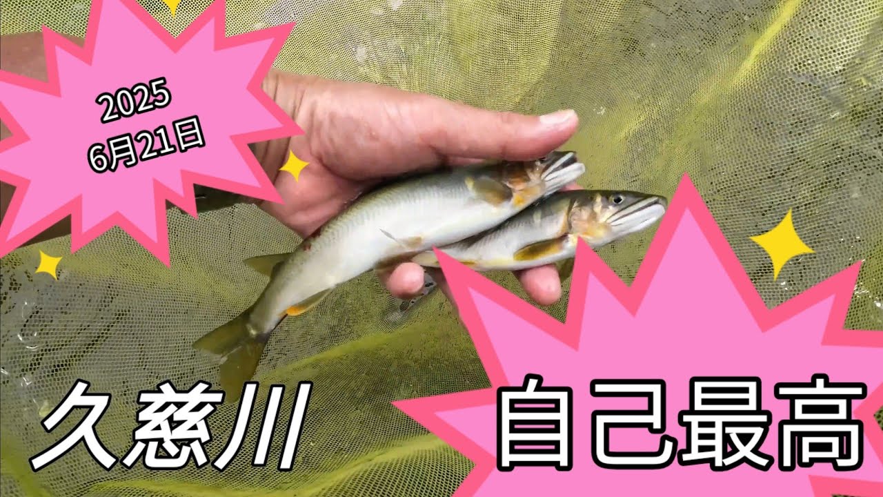 2025年6月21日久慈川鮎釣りポイント　 自己最高