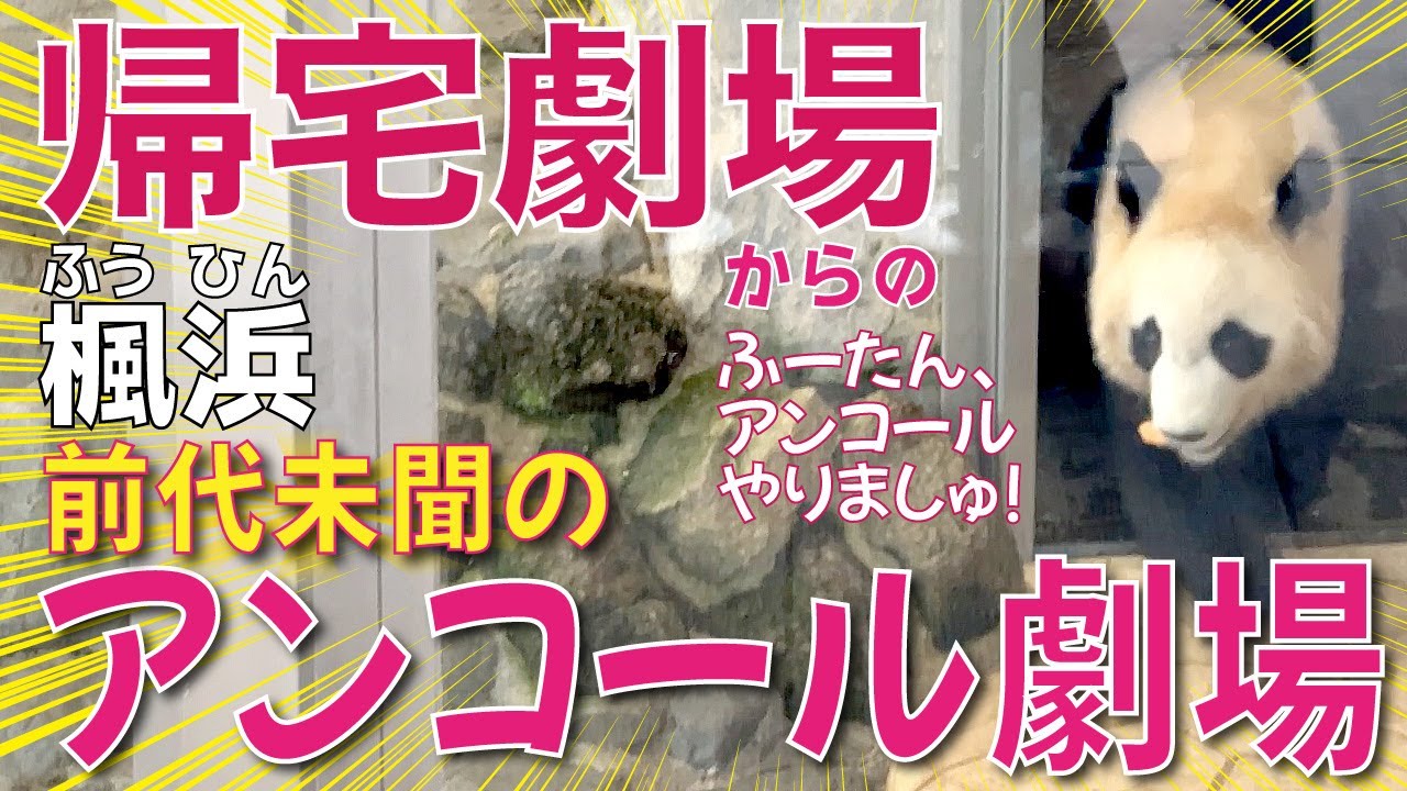 【楓浜（ふうひん）】前代未聞😳の帰宅劇場🥕くわえてアンコール👏に登場！スーパーアイドル🐼楓浜のアンコール劇場
