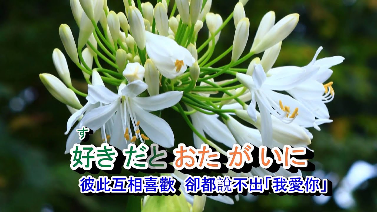 01-036  北国の春*** 鄧麗君 ( 國:榕樹下)音緣2153  金嗓40186
