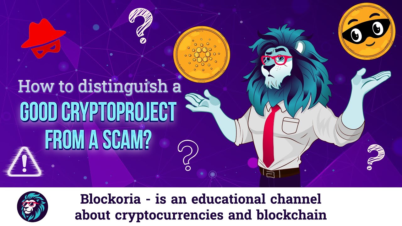How to Tell If a Crypto Project Is Legit or a Scam? Explained Simply